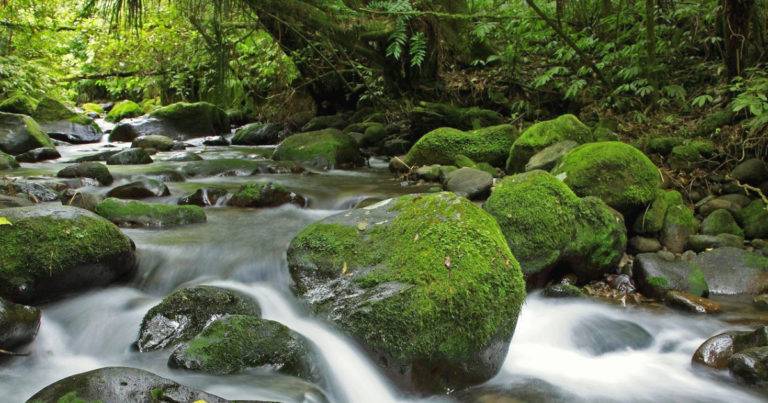 Update belief patterns